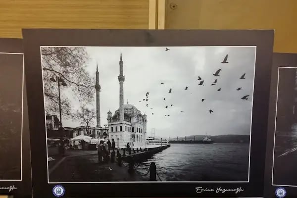 Mümine Şeremet Uyumayan Kütüphanesi - Resim 18