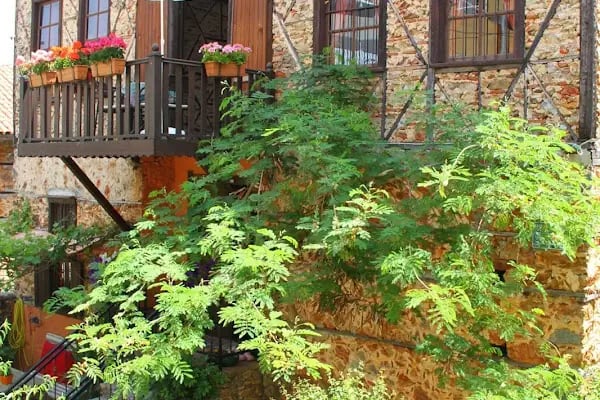 NİRVANA ALANYA İÇSEL DÖNÜŞÜM MERKEZİ - Resim 2