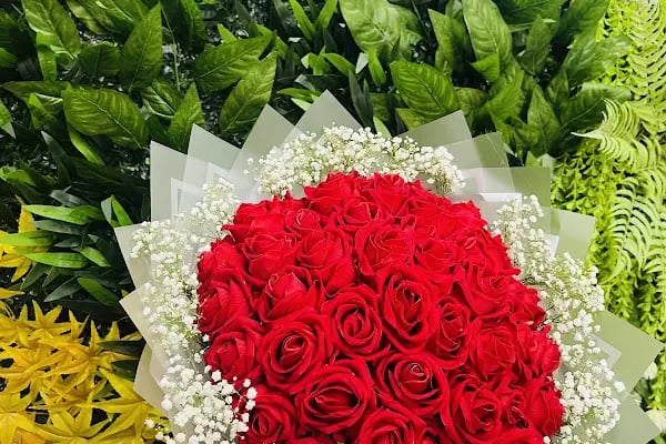 Florya Çiçekçilik &amp; Organizasyon - Resim 16