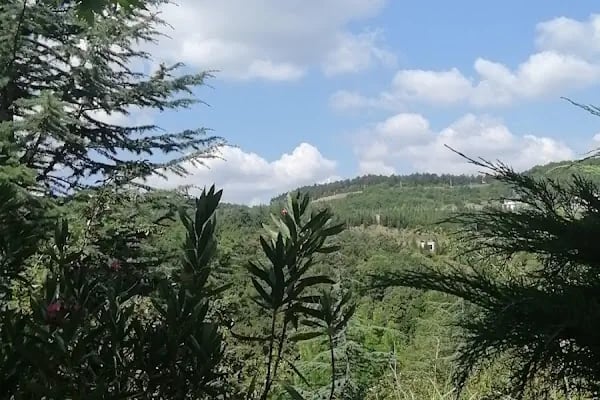 Kocaeli Üniversitesi Teknoloji Fakültesi - Resim 14