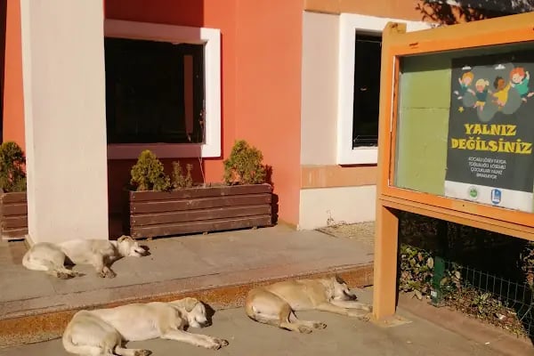 Kocaeli Üniversitesi Teknoloji Fakültesi - Resim 18