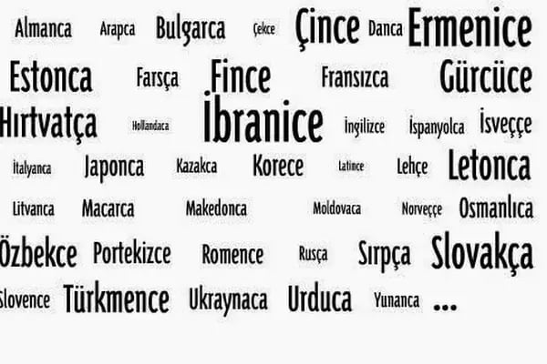 Konsolosluk Yurtdışı Emeklilik İşlemleri Vize Müracaatı Tercüme - Resim 17