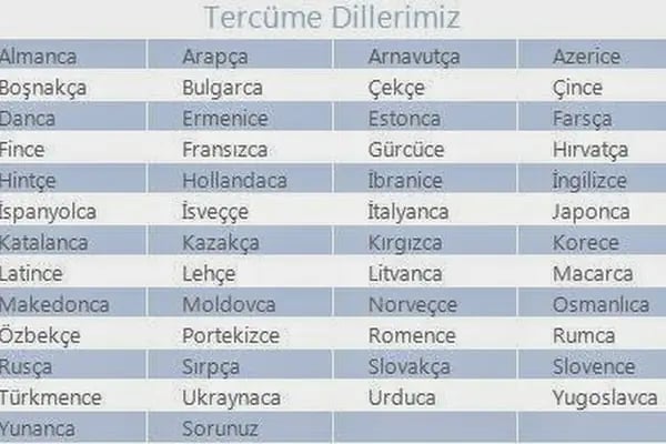 Konsolosluk Yurtdışı Emeklilik İşlemleri Vize Müracaatı Tercüme - Resim 19