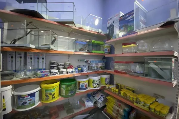 Egzotik Pet Shop Çerkezköy - Resim 7