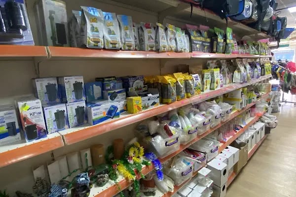 Egzotik Pet Shop Çerkezköy - Resim 20