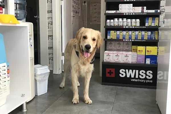 Mega Veteriner Kliniği - Resim 15