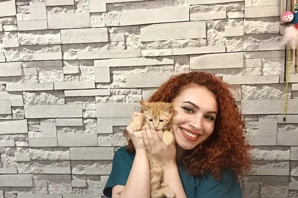 Mega Veteriner Kliniği - Resim 13