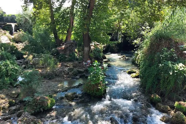 TARSUS SELALE ÇAYBAHCESİ - Resim 9
