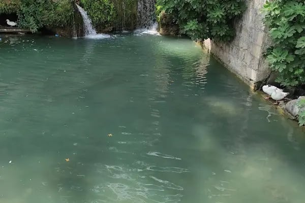TARSUS SELALE ÇAYBAHCESİ - Resim 14