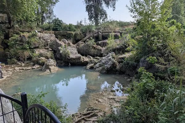 TARSUS SELALE ÇAYBAHCESİ - Resim 13