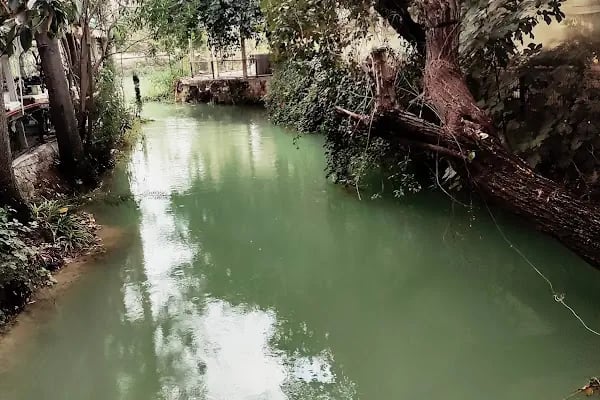 TARSUS SELALE ÇAYBAHCESİ - Resim 18