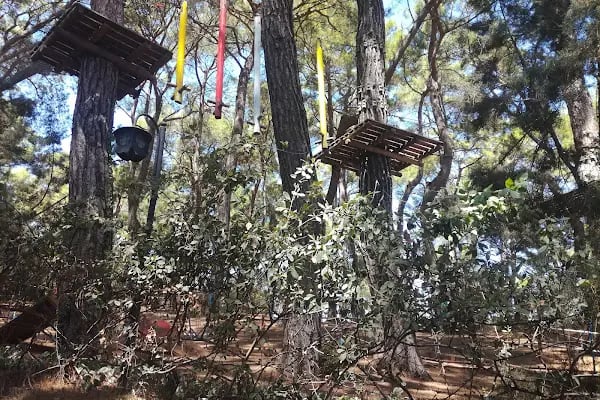 DOSAM Paintball - Resim 2