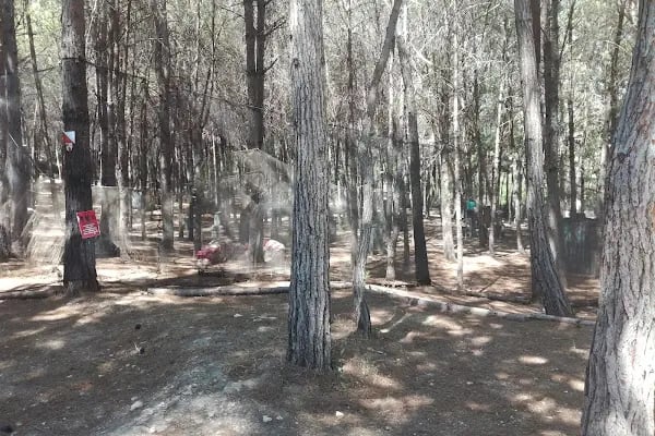 DOSAM Paintball - Resim 1