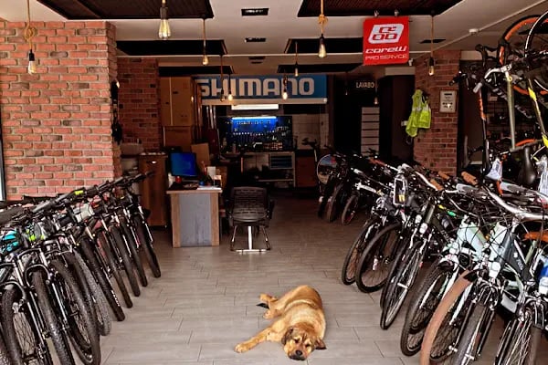 Zafer Antmen Bike Store - Resim 8