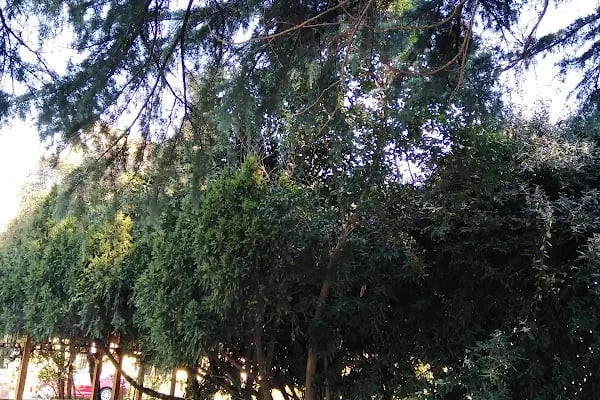 Gebze Teknik Üniversitesi - Resim 11