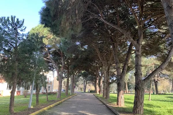 Gebze Teknik Üniversitesi - Resim 2