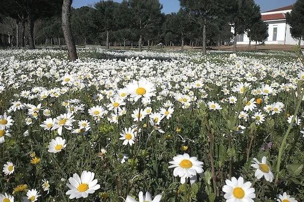 Gebze Teknik Üniversitesi - Resim 17