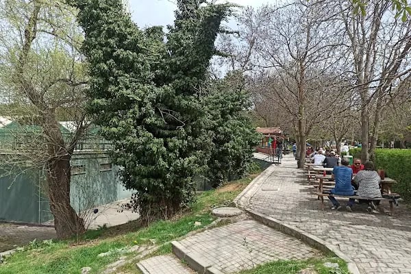 Tenis Kortları Çimleri - Resim 6