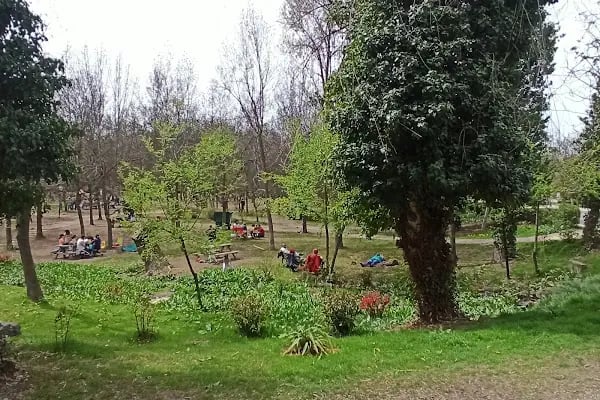 Tenis Kortları Çimleri - Resim 10