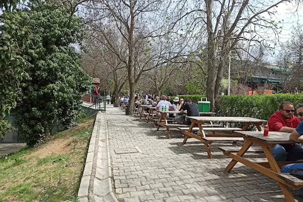 Tenis Kortları Çimleri - Resim 3