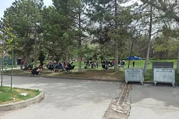 Tenis Kortları Çimleri - Resim 12