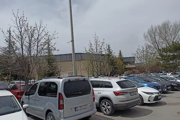 Tenis Kortları Çimleri - Resim 8