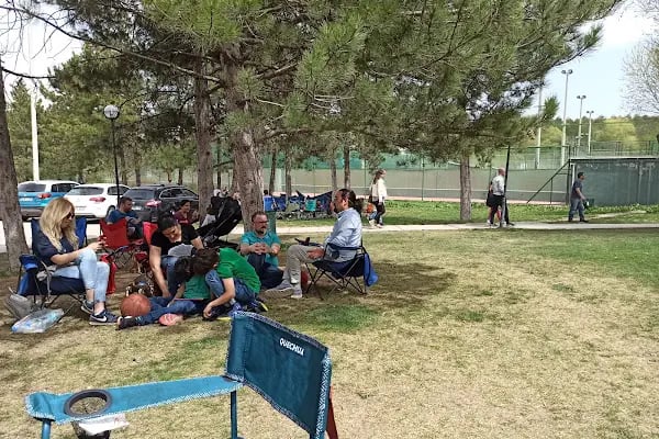 Tenis Kortları Çimleri - Resim 5