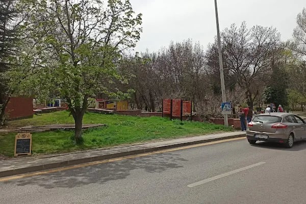 Tenis Kortları Çimleri - Resim 15