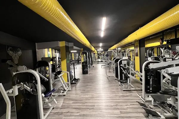 Cool Fit - Gazi Muhtar - Resim 16