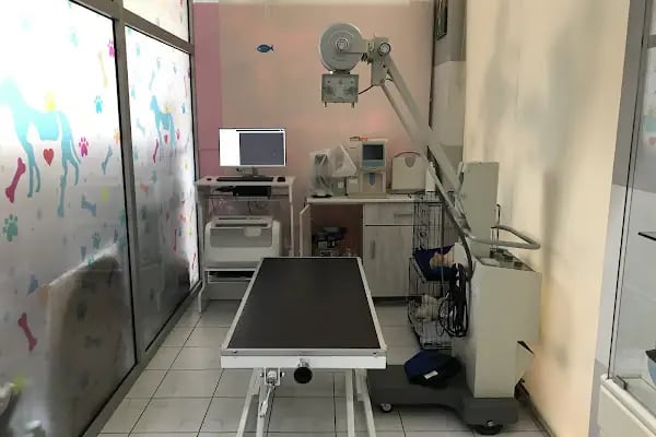 Anatomi Veteriner Kliniği - Resim 1