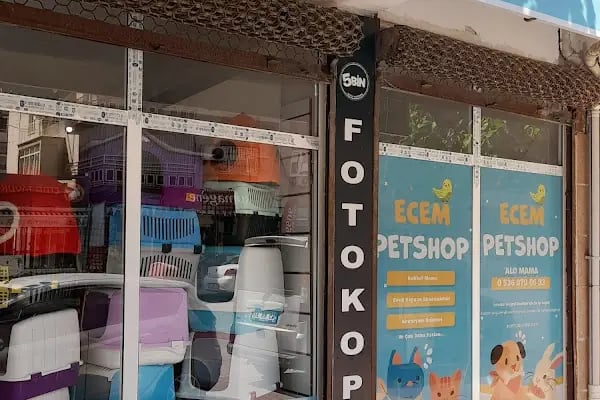 Ecem petshop - Resim 1