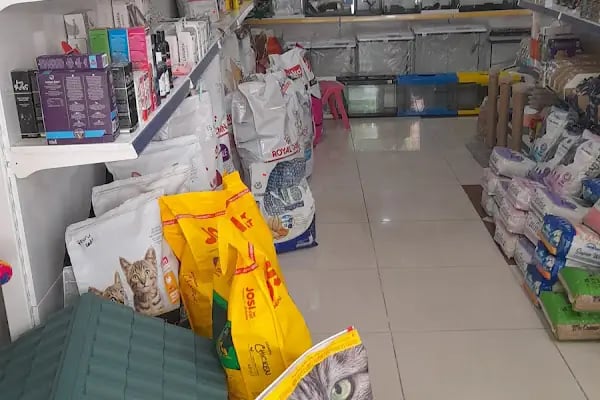 Ecem petshop - Resim 2