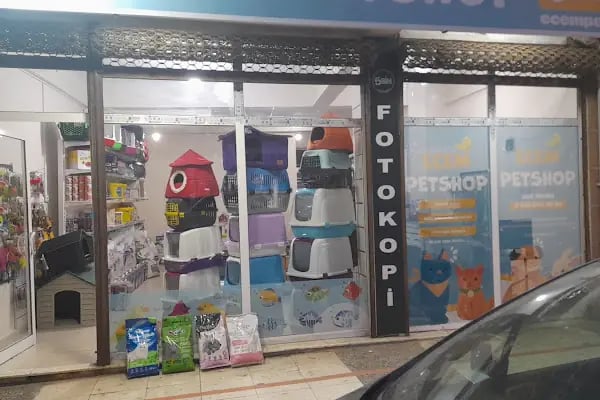 Ecem petshop - Resim 5