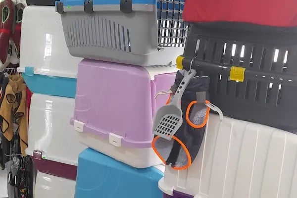 Ecem petshop - Resim 4