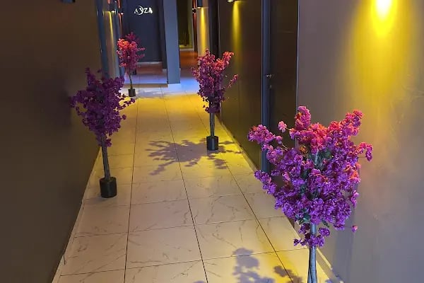 Ayza spa center - Resim 2