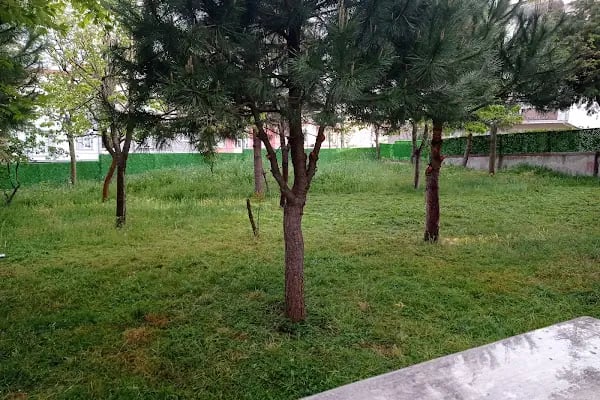 Selahattin Eyyubi Cami - Resim 5