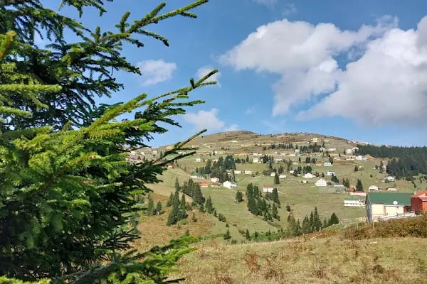 Trabzon Doğu Karadeniz Gençlik Kampı - Resim 17