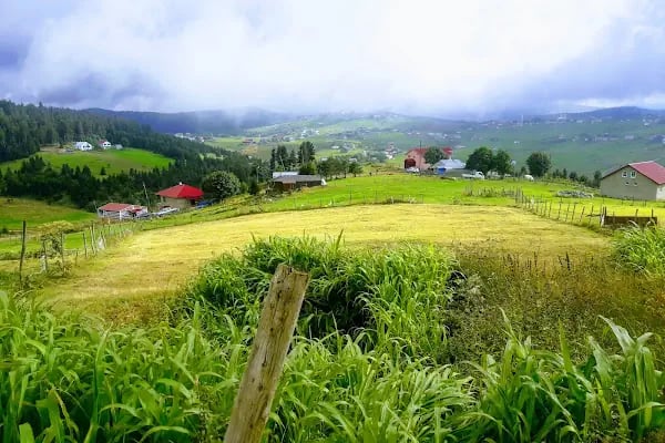 Trabzon Doğu Karadeniz Gençlik Kampı - Resim 8