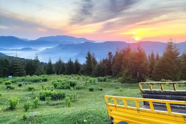 Trabzon Doğu Karadeniz Gençlik Kampı - Resim 3