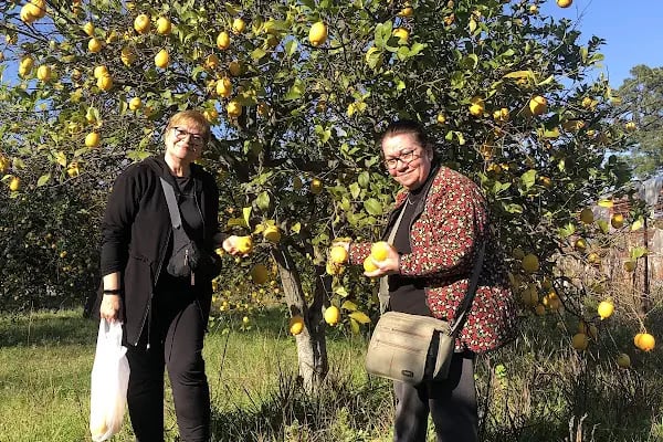 Park Beyaz Ortaca Kır Düğün Evi - Resim 15