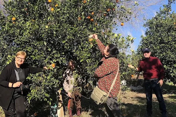 Park Beyaz Ortaca Kır Düğün Evi - Resim 2