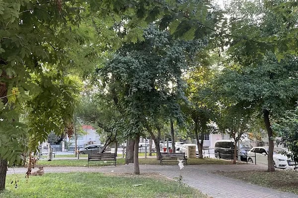 Yahya Çavuş Parkı - Resim 3
