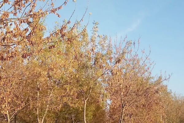 kocaeli büyükşehir belediyesi merkez sahil park alanı - Resim 10
