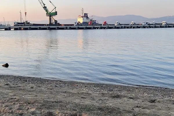 kocaeli büyükşehir belediyesi merkez sahil park alanı - Resim 5