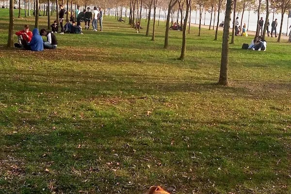 kocaeli büyükşehir belediyesi merkez sahil park alanı - Resim 4