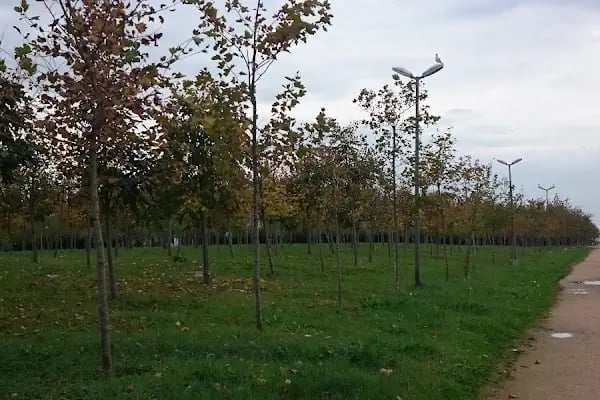 kocaeli büyükşehir belediyesi merkez sahil park alanı - Resim 6