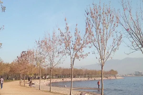 kocaeli büyükşehir belediyesi merkez sahil park alanı - Resim 13