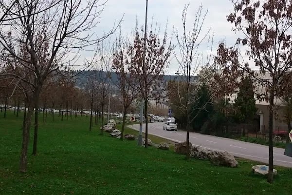 kocaeli büyükşehir belediyesi merkez sahil park alanı - Resim 17