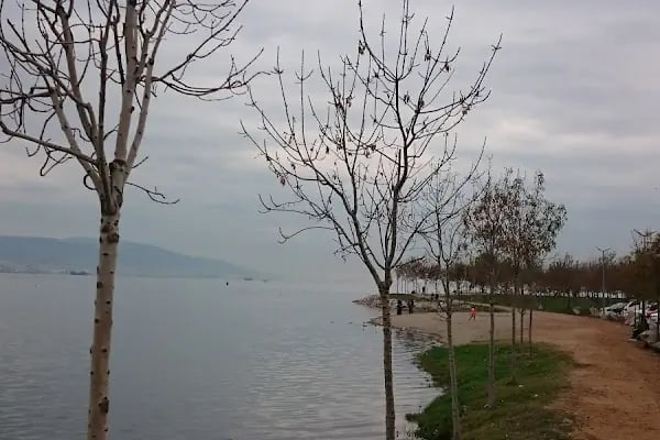 kocaeli büyükşehir belediyesi merkez sahil park alanı - Resim 15