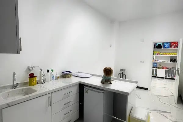 La Fontaine Veteriner Kliniği-Nilüfer Veteriner-Acil Veteriner-7/24 Veteriner-Kedi Kısırlaştırma-Köpek Kısırlaştırma-Aşılama - Resim 10